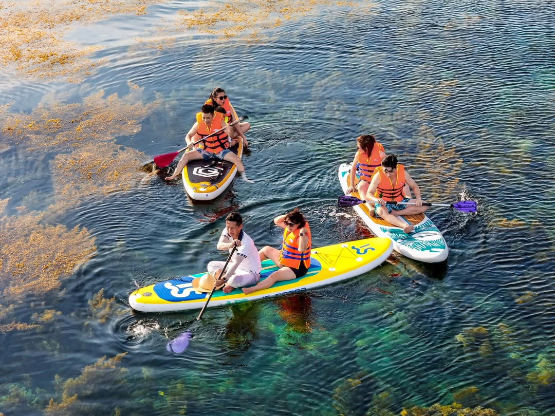 chèo sup quy nhơn chèo sup quy nhơn